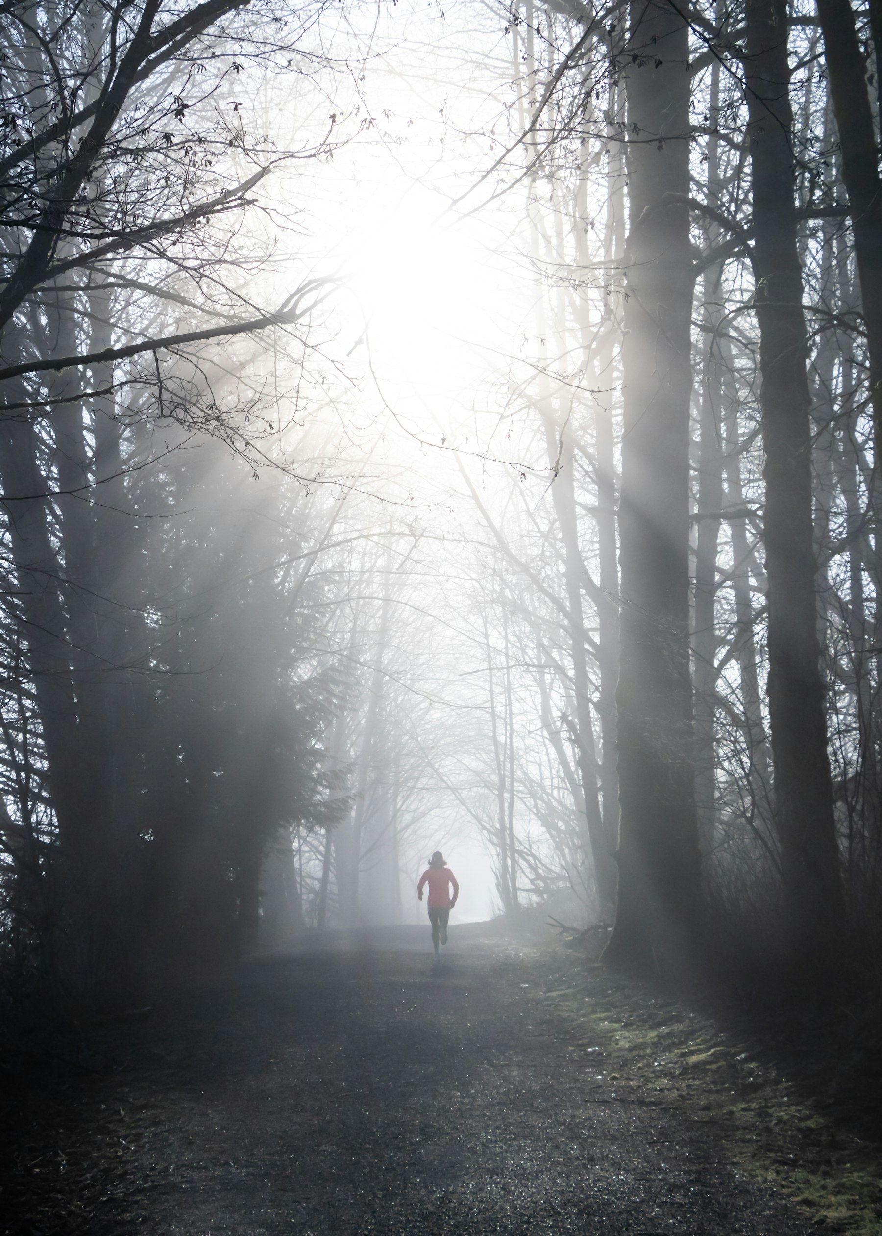 Person moving along a wooded trail toward sunlight, representing direction and positive change.