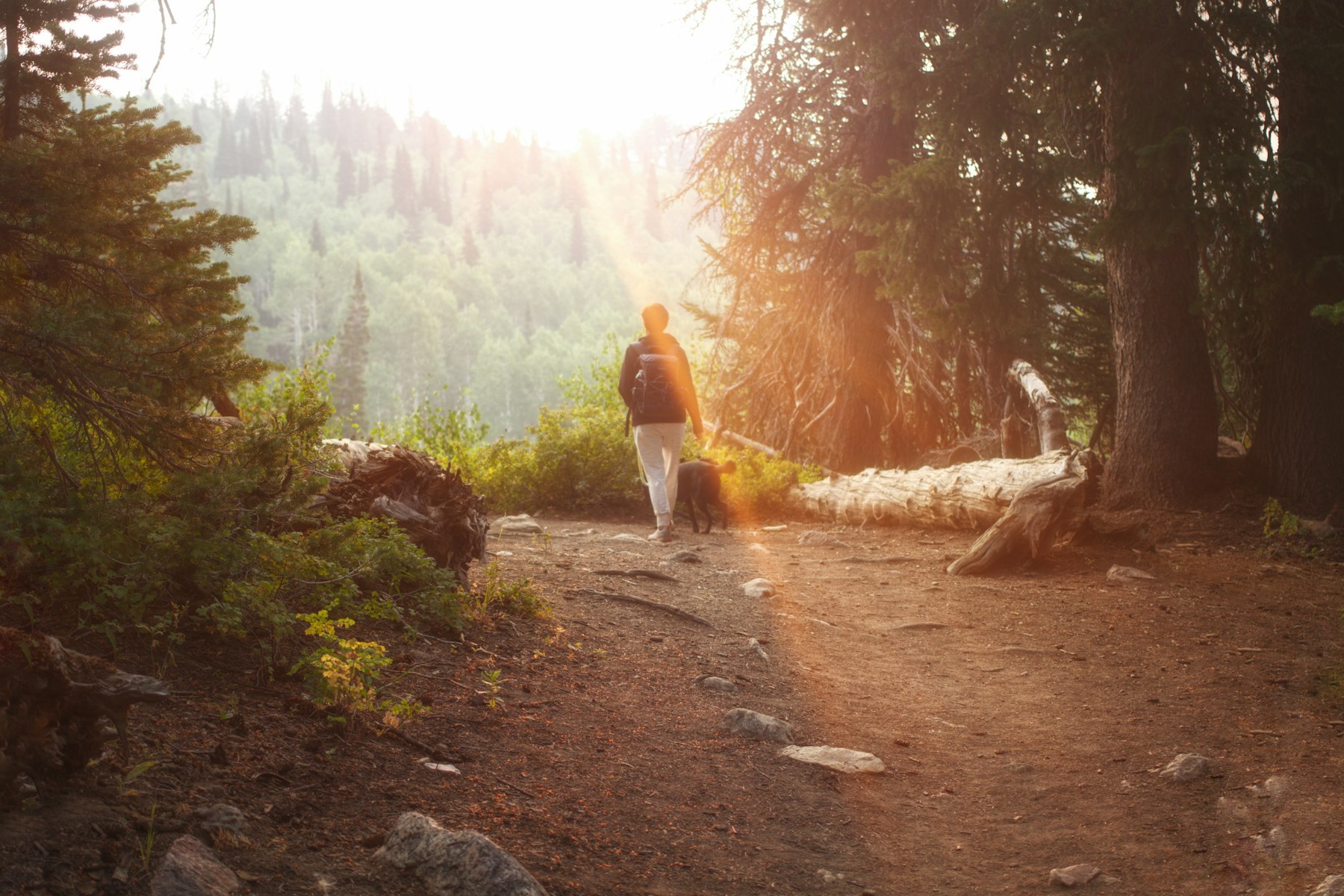 Person walking outdoors on a wooded trail, representing recovery, resilience and perspective.